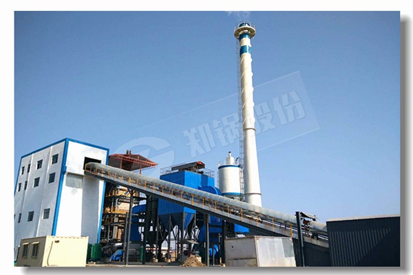 成都专业生物质蒸汽锅炉的供应品牌找哪家？