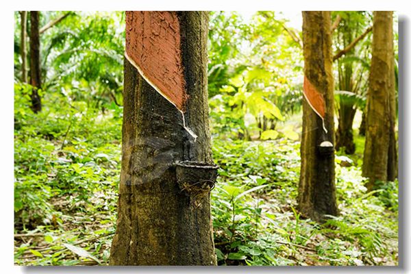 工业锅炉品级分类怎样划分？