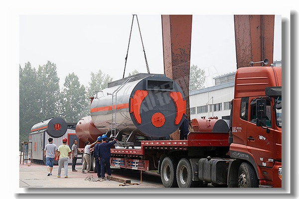 生物质蒸汽锅炉内部结构图是什么样的？？？