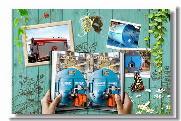 双燃料蒸汽锅炉，，，压力16kg